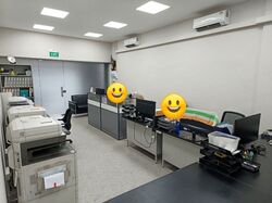 Lim Tua Tow Road (D19), Shop House #554624701